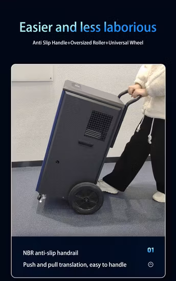 Осушающая способность 220 В R290 Промышленный портативный осушитель воздуха для сушки воздуха